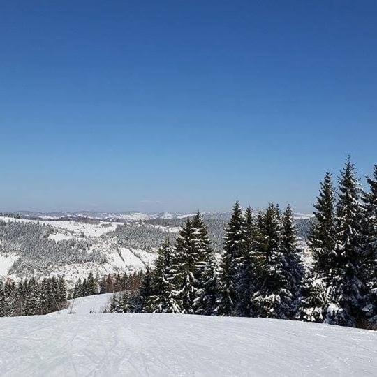 Vila Milanova koliba Zlatar Nova Varoš Exteriér fotografie