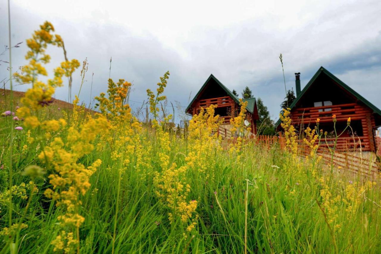 Vila Milanova koliba Zlatar Nova Varoš Exteriér fotografie
